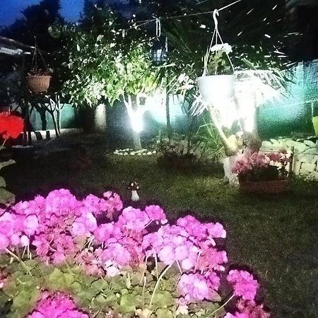 ホテル Sofis Garden カヴァラ エクステリア 写真