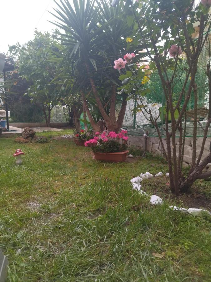 ホテル Sofis Garden カヴァラ エクステリア 写真