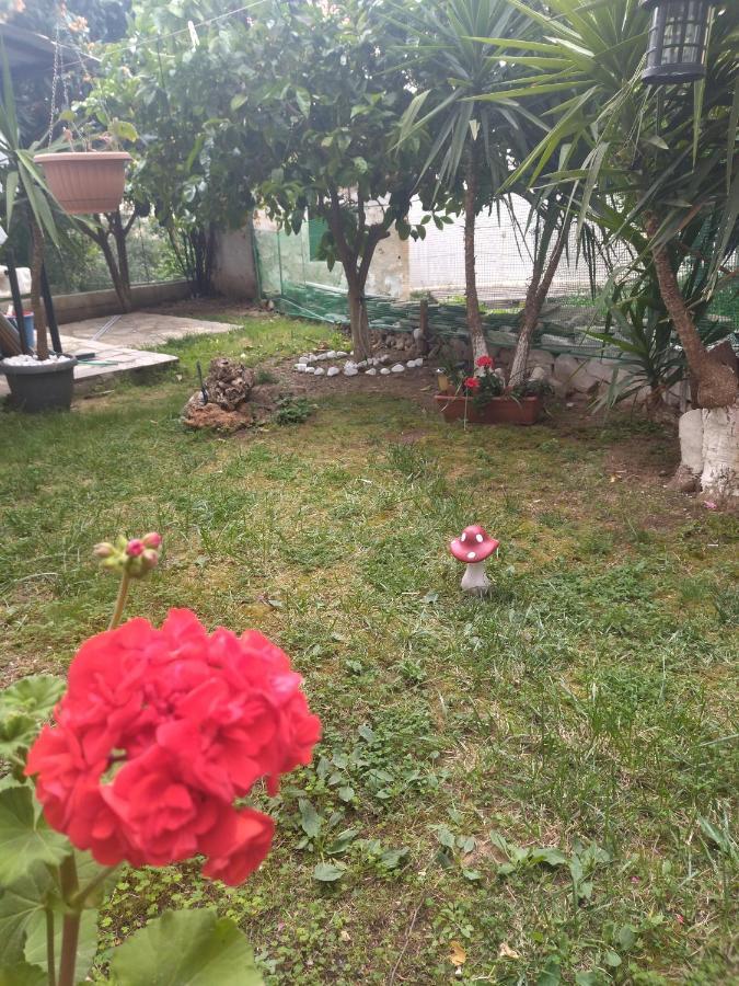 ホテル Sofis Garden カヴァラ 部屋 写真